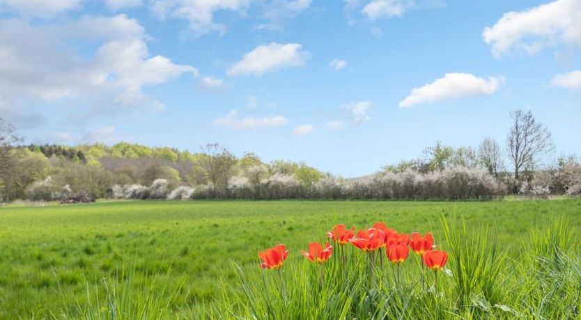 Photo of "Kadri" - 5km from the sea