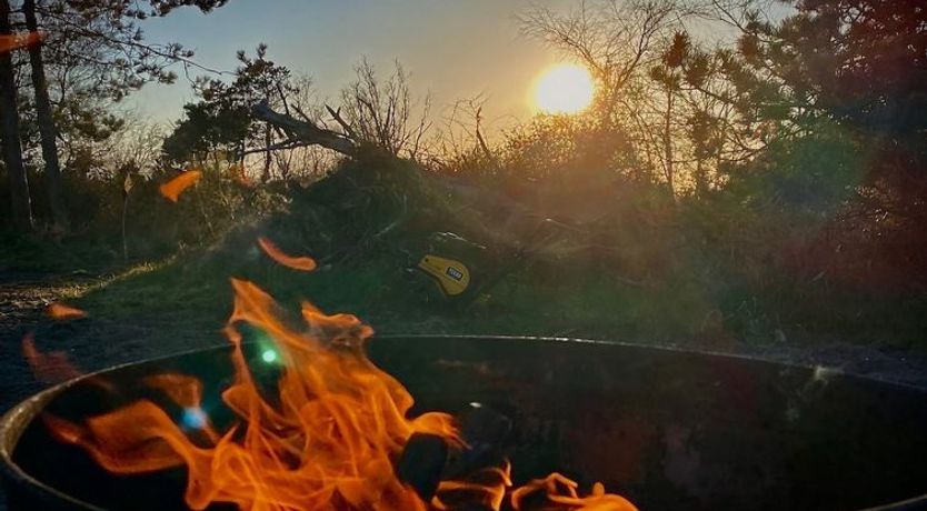 Photo of "Henrik" - 100m from the sea