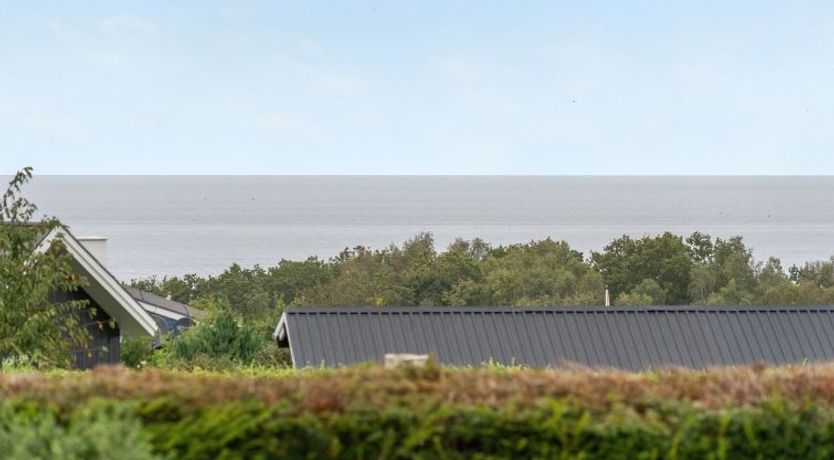 Photo of "Kimi" - 800m from the sea