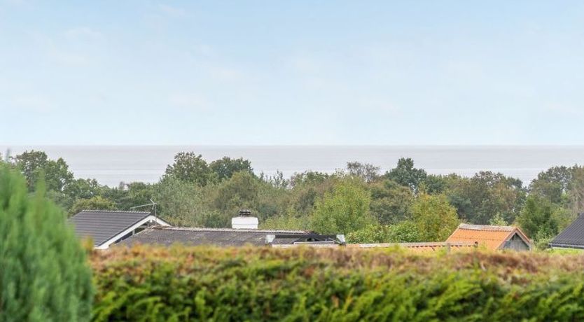 Photo of "Kimi" - 800m from the sea