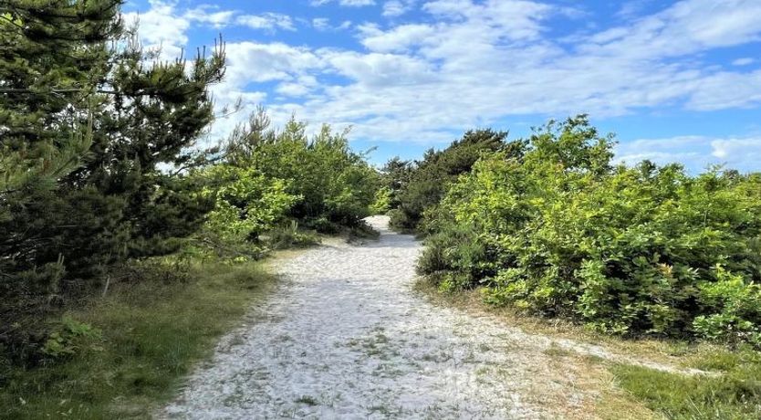 Photo of "Efka" - 175m from the sea