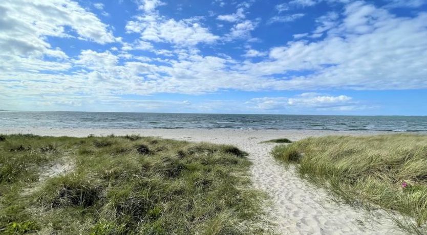 Photo of "Efka" - 175m from the sea