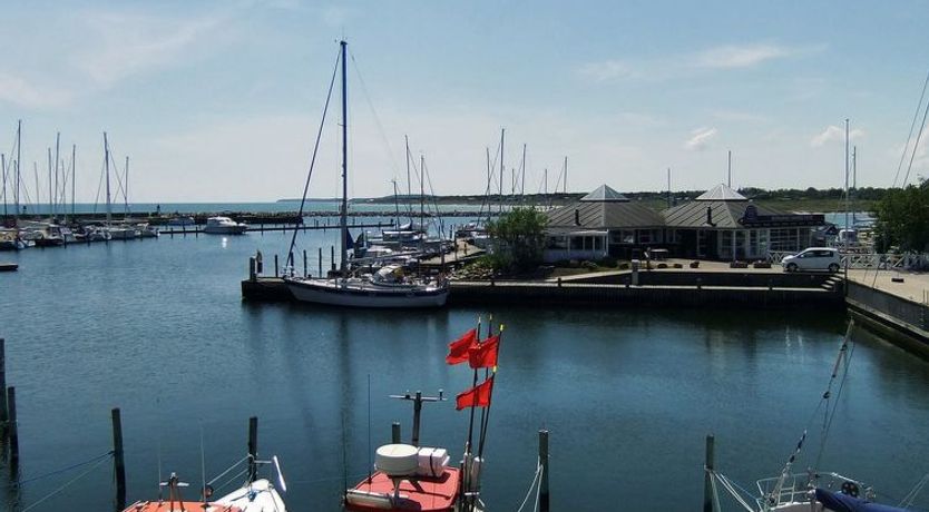 Photo of "Knud" - 2m from the sea