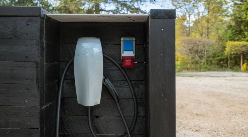 Photo of "Rikkie" - 150m to the fjord