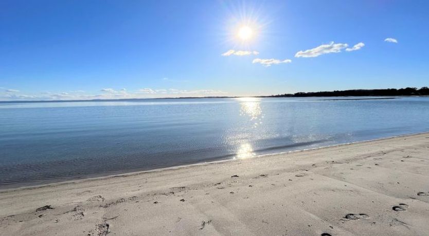 Photo of "Rikkie" - 150m to the fjord