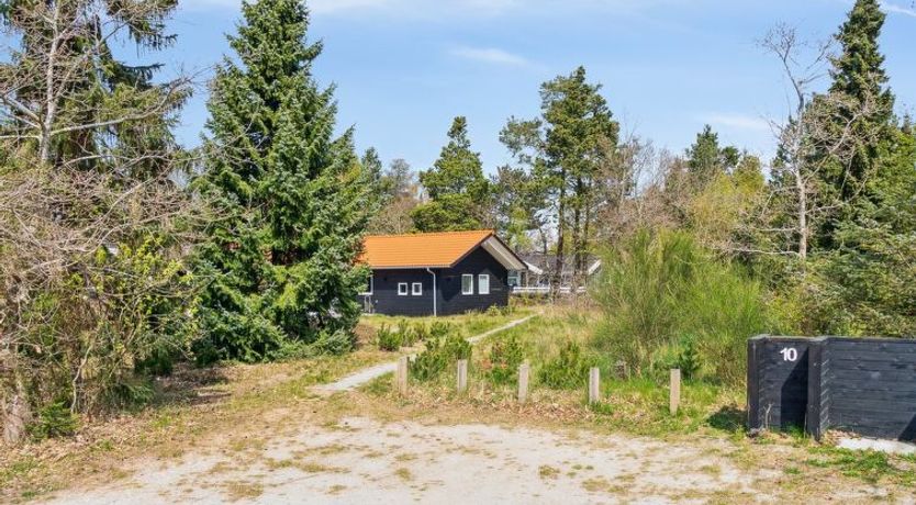 Photo of "Rikkie" - 150m to the fjord