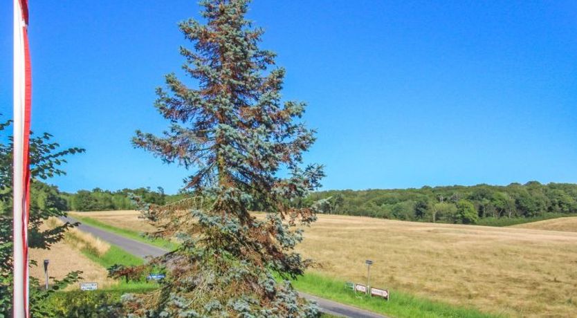 Photo of "Rask" - 3km from the sea