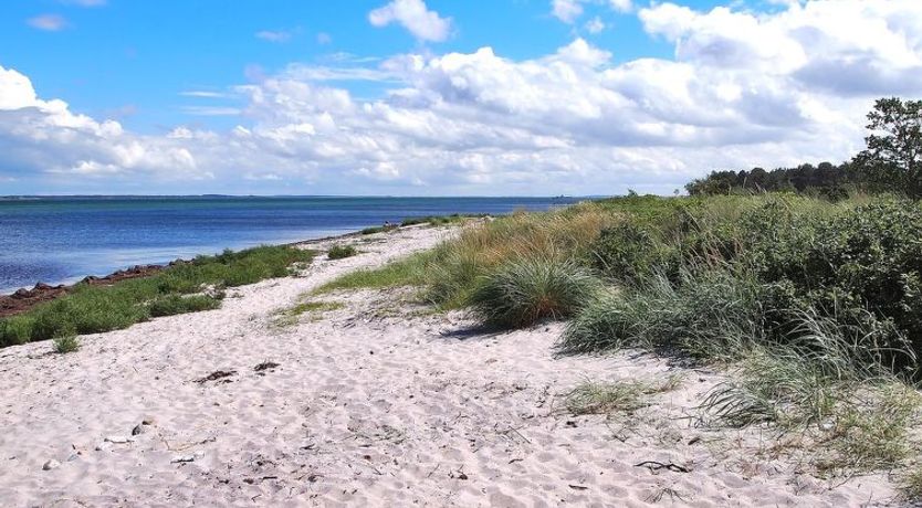 Photo of "Liselotte" - 275m from the sea