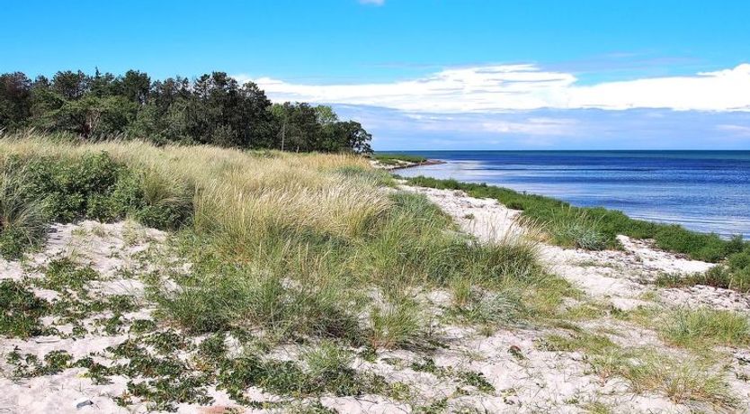 Photo of "Liselotte" - 275m from the sea