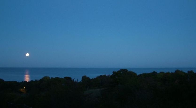 Photo of "Iikka" - 300m from the sea