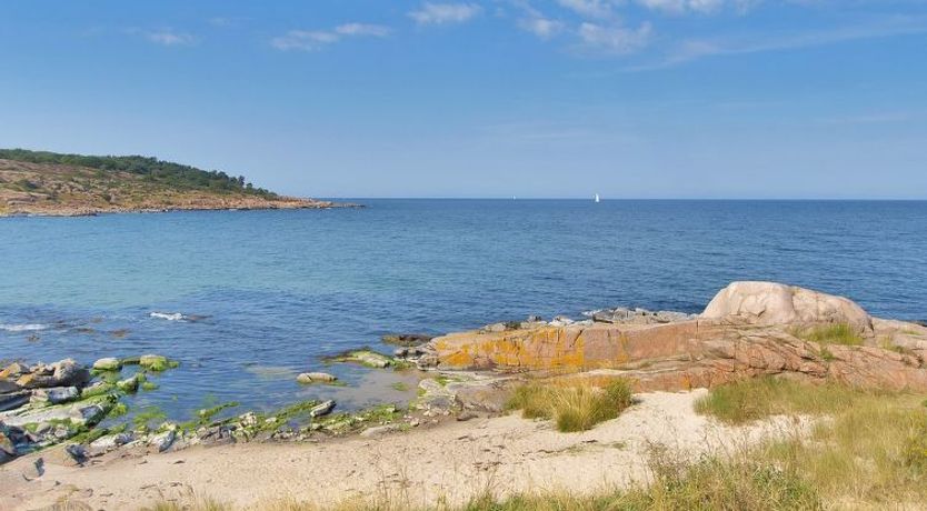 Photo of "Thyrne" - 500m from the sea