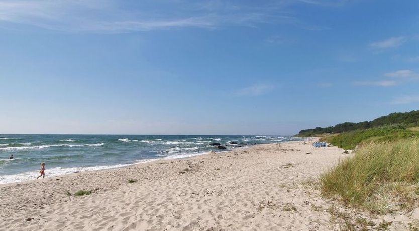 Photo of "Colette" - 700m from the sea