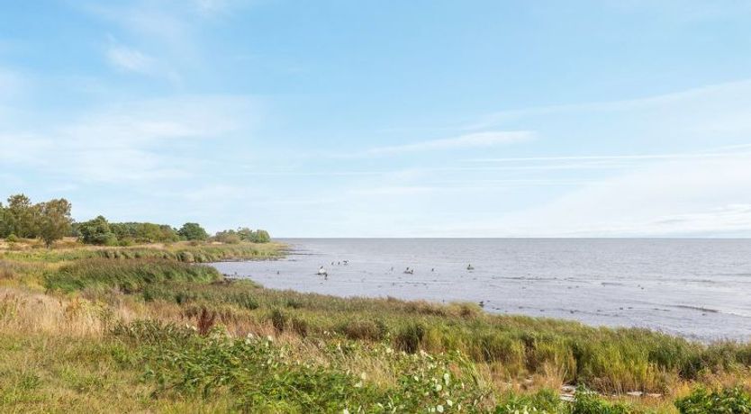 Photo of "Julietta" - 50m from the sea