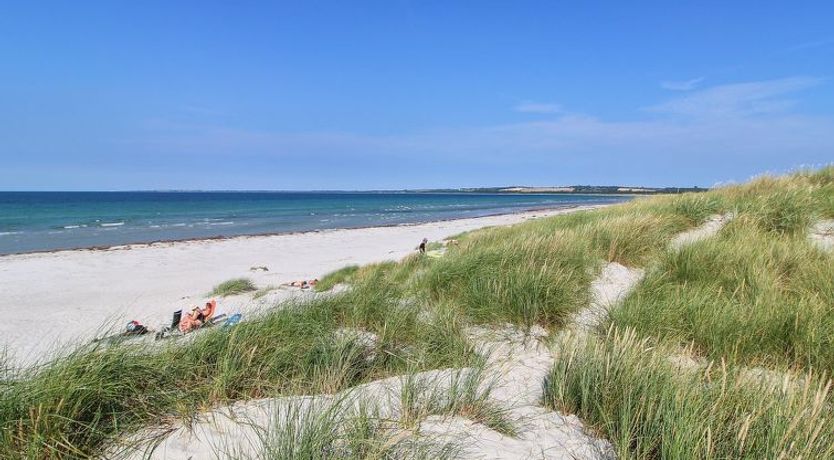 Photo of "Wilgrib" - 400m from the sea