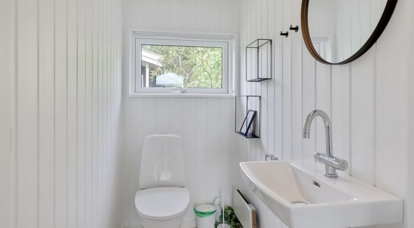 Photo of "Botolphus" - 20m from the sea