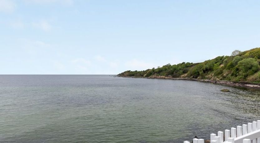 Photo of "Otis" - 10m from the sea