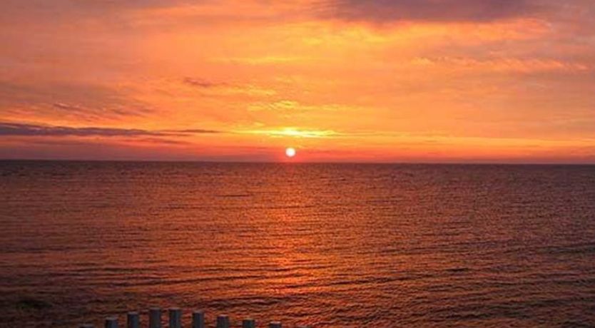 Photo of "Otis" - 10m from the sea