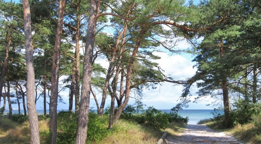 Photo of "Ignat" - 175m from the sea