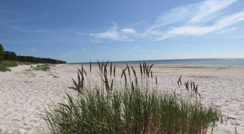 Photo of "Patti" - 150m from the sea