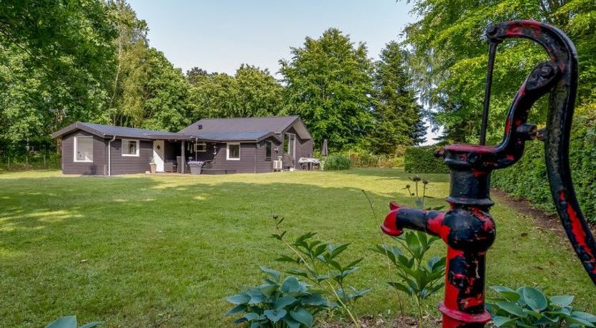 Photo of "Sunja" - 450m from the sea