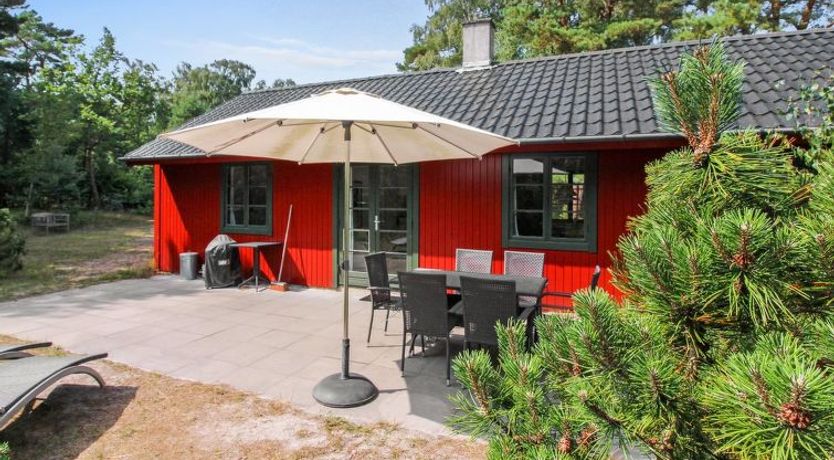 Photo of "Jale" - 50m from the sea