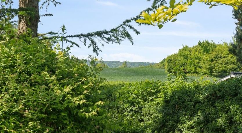 Photo of "Ømund" - 600m to the fjord