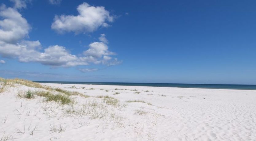 Photo of "Jose" - 300m from the sea