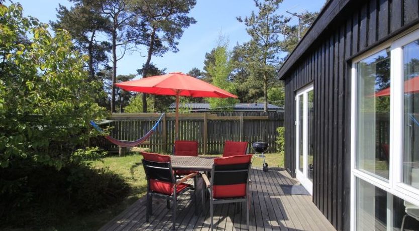 Photo of "Evert" - 250m from the sea