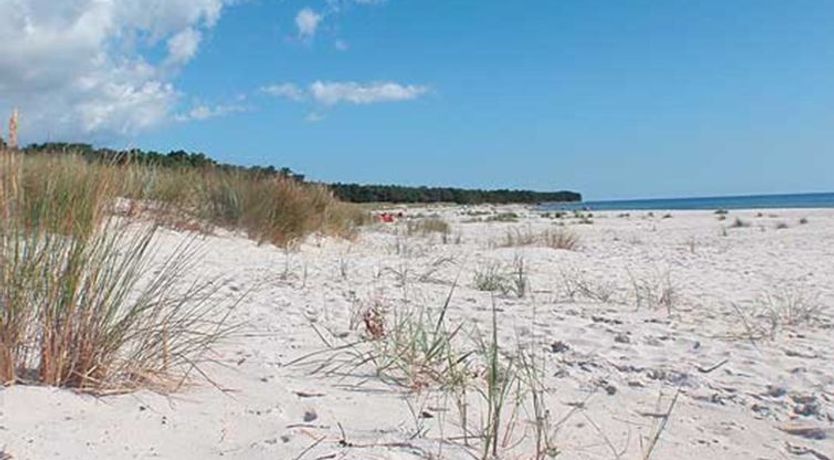 Photo of "Nis" - 200m from the sea