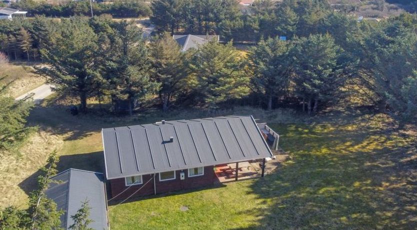 Photo of "Lis" - 300m from the sea