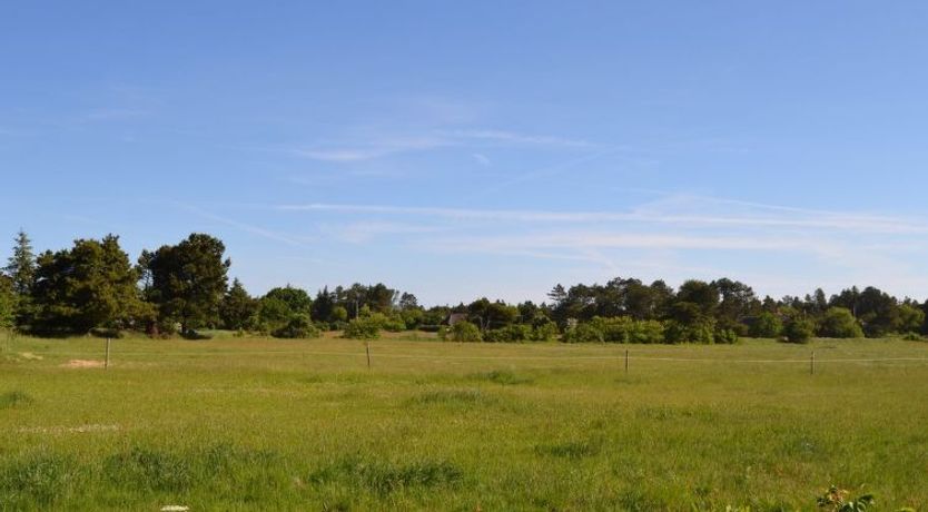 Photo of "Naili" - 3.1km from the sea