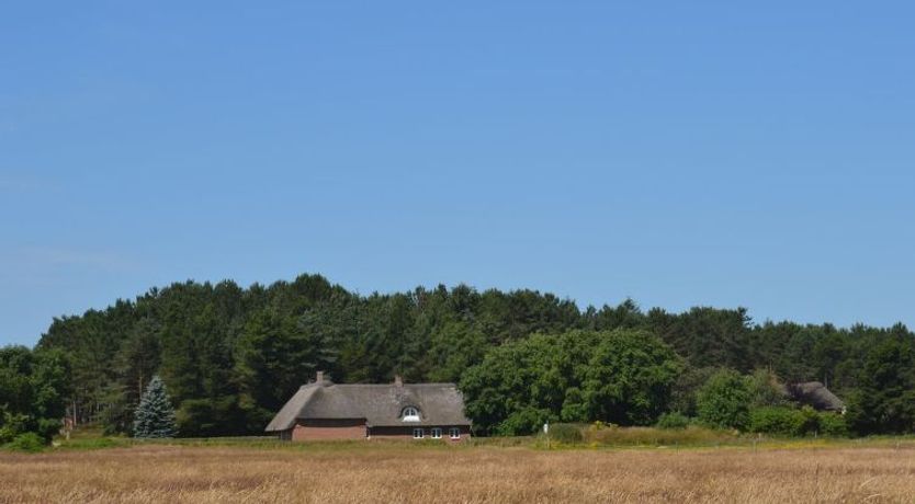 Photo of "Naili" - 3.1km from the sea