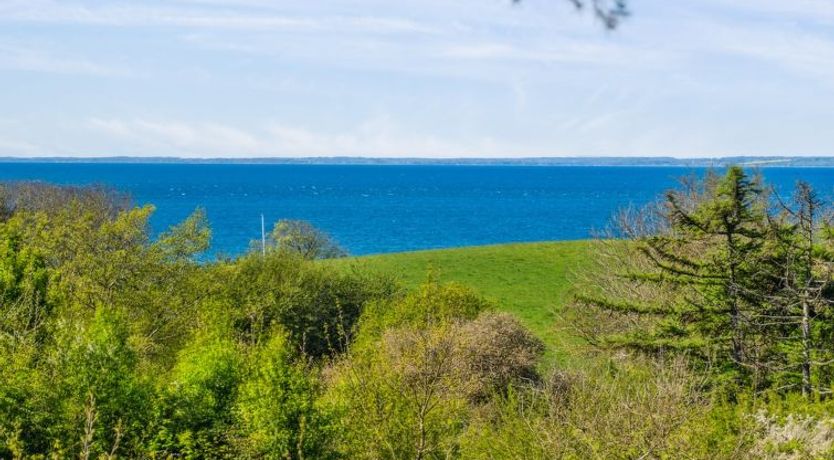 Photo of "Irek" - 500m from the sea