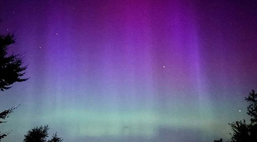 Photo of "Irek" - 500m from the sea