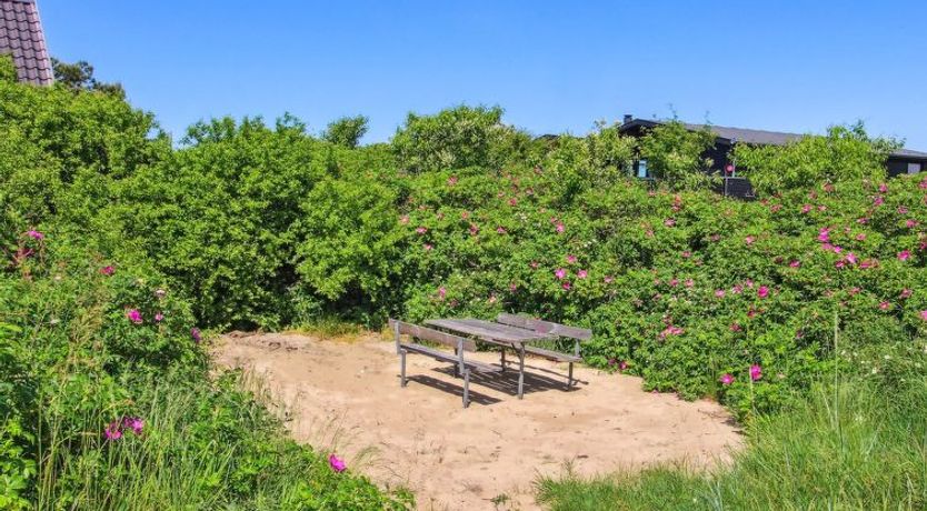 Photo of "Kalf" - 400m from the sea