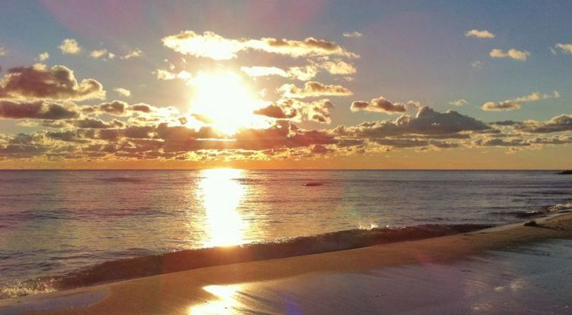 Photo of "Greta" - 200m from the sea