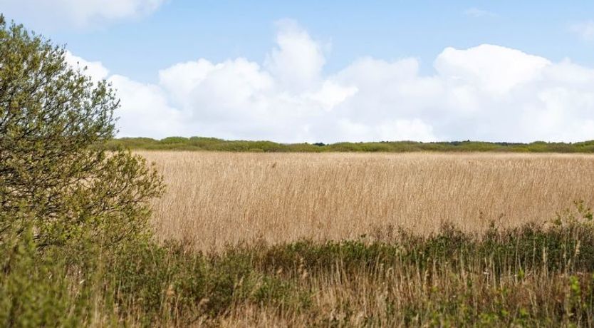 Photo of "Hermandine" - 700m from the sea