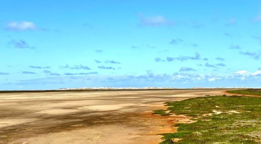 Photo of "Neia" - 640m from the sea