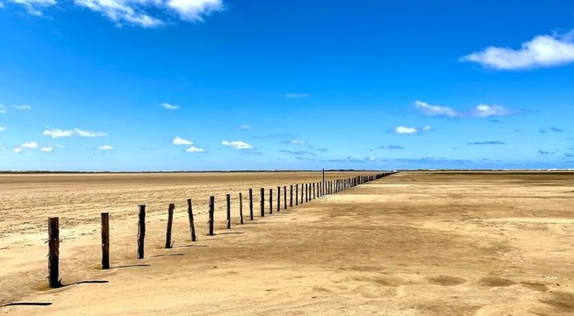 Photo of "Neia" - 640m from the sea