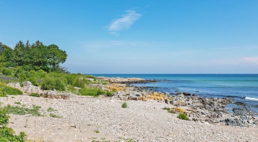 Photo of "Gjuro" - 50m from the sea