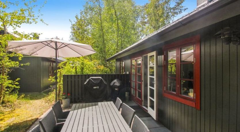 Photo of "Sigge" - 125m from the sea