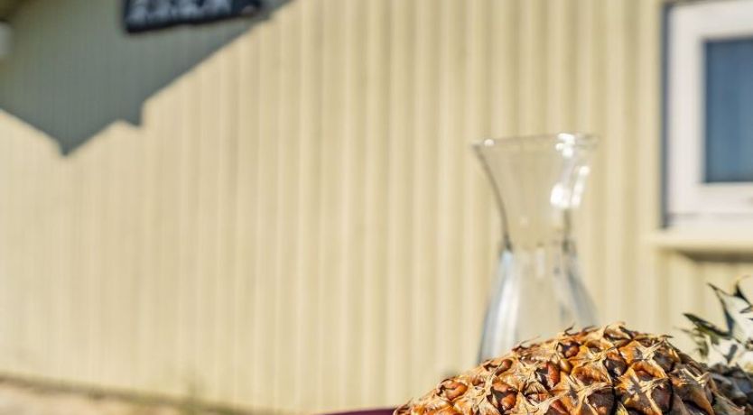 Photo of "Matias" - 150m from the sea