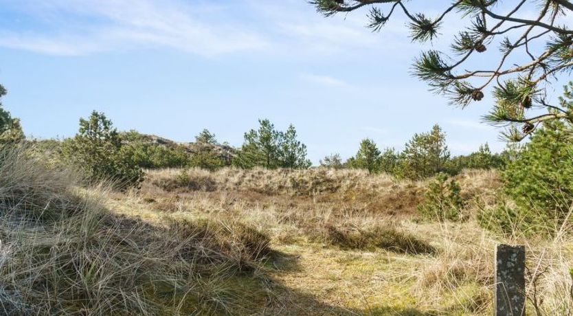 Photo of "Eroll" - 1.8km from the sea