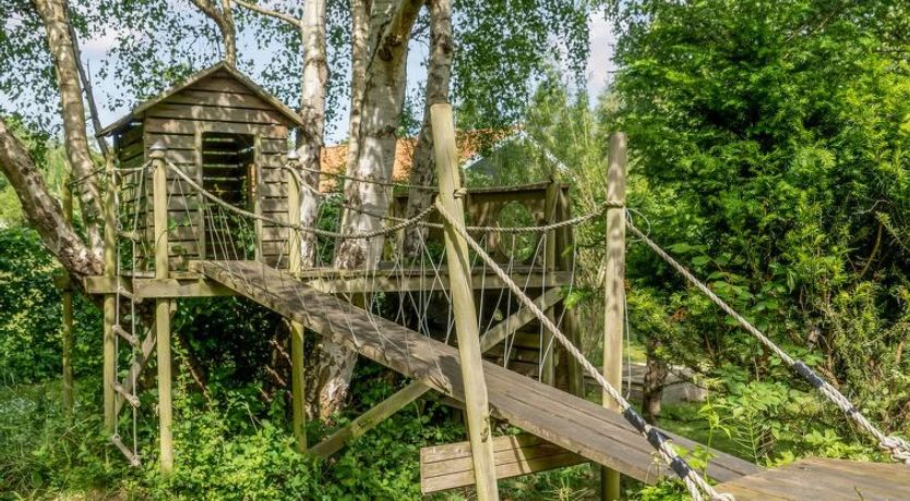 Photo of "Anemone" - 700m from the sea