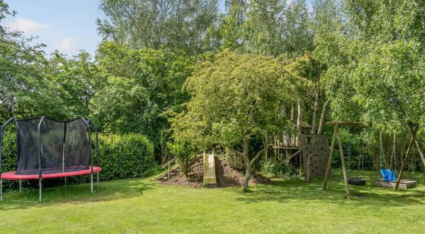 Photo of "Anemone" - 700m from the sea