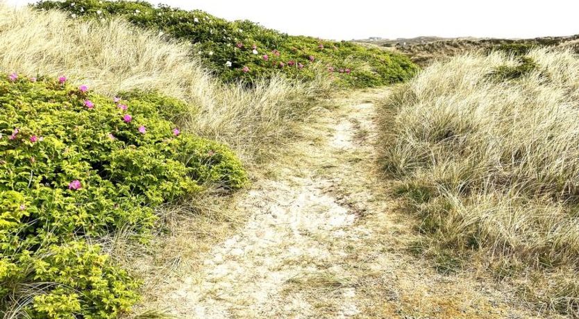 Photo of "Carelle" - 300m from the sea