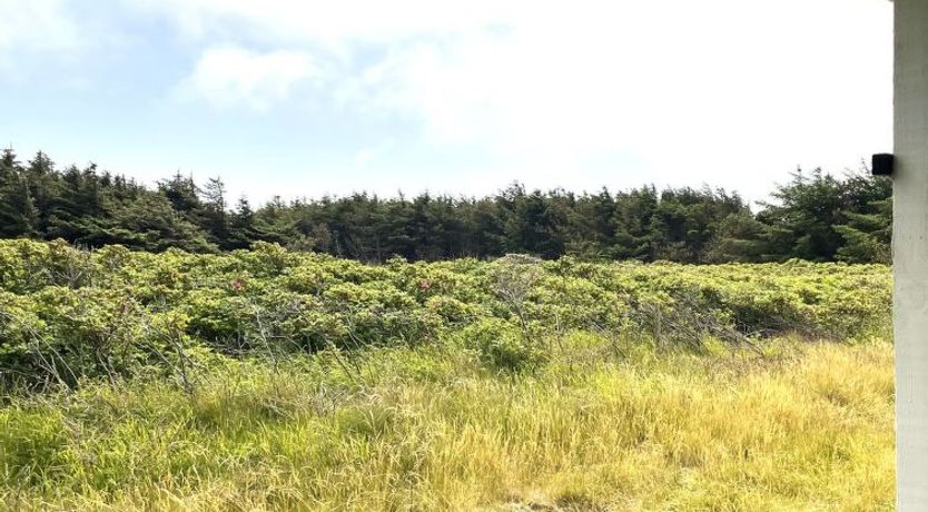 Photo of "Carelle" - 300m from the sea