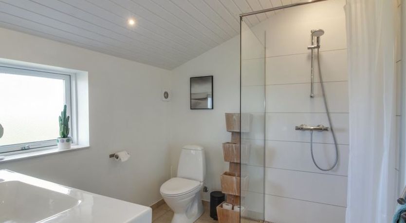 Photo of "Dodo" - 500m from the sea