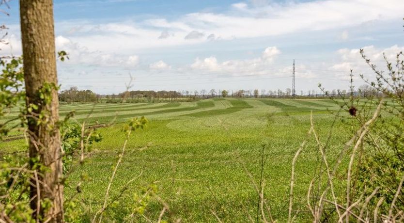 Photo of "Henna" - 550m to the fjord