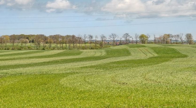 Photo of "Henna" - 550m to the fjord
